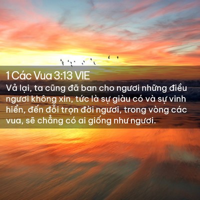 Picture 02 - 1 Các Vua 3:13 VIE - Vả lại, ta cũng đã ban cho ngươi những - Bible Verse Picture