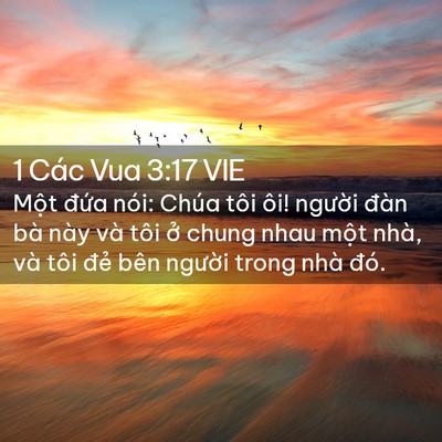 Picture 02 - 1 Các Vua 3:17 VIE - Một đứa nói: Chúa tôi ôi! người đàn - Bible Verse Picture