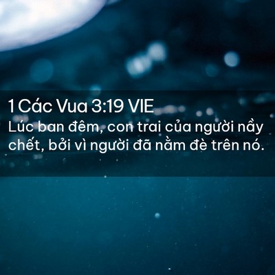 Picture 02 - 1 Các Vua 3:19 VIE - Lúc ban đêm, con trai của người nầy - Bible Verse Picture