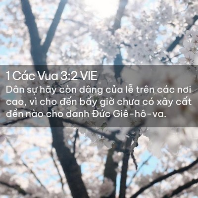 Picture 02 - 1 Các Vua 3:2 VIE - Dân sự hãy còn dâng của lễ trên các - Bible Verse Picture