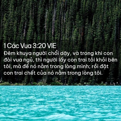 Picture 02 - 1 Các Vua 3:20 VIE - Đêm khuya người chổi dậy, và trong khi - Bible Verse Picture