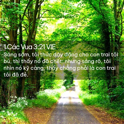 Picture 02 - 1 Các Vua 3:21 VIE - Sáng sớm, tôi thức dậy đặng cho con - Bible Verse Picture