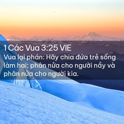 Picture 02 - 1 Các Vua 3:25 VIE - Vua lại phán: Hãy chia đứa trẻ sống - Bible Verse Picture