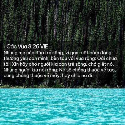Picture 02 - 1 Các Vua 3:26 VIE - Nhưng mẹ của đứa trẻ sống, vì gan - Bible Verse Picture