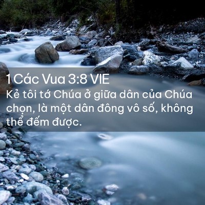 Picture 02 - 1 Các Vua 3:8 VIE - Kẻ tôi tớ Chúa ở giữa dân của Chúa - Bible Verse Picture