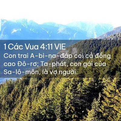 Picture 02 - 1 Các Vua 4:11 VIE - Con trai A-bi-na-đáp coi cả đồng cao - Bible Verse Picture
