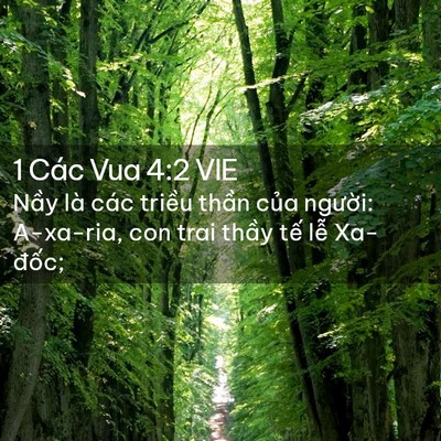 Picture 02 - 1 Các Vua 4:2 VIE - Nầy là các triều thần của người: - Bible Verse Picture