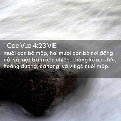 Picture 02 - 1 Các Vua 4:23 VIE - mười con bò mập, hai mươi con bò nơi - Bible Verse Picture