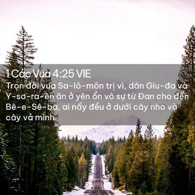 Picture 02 - 1 Các Vua 4:25 VIE - Trọn đời vua Sa-lô-môn trị vì, dân - Bible Verse Picture