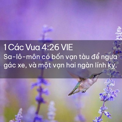 Picture 02 - 1 Các Vua 4:26 VIE - Sa-lô-môn có bốn vạn tàu để ngựa - Bible Verse Picture
