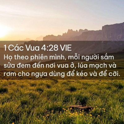Picture 02 - 1 Các Vua 4:28 VIE - Họ theo phiên mình, mỗi người sắm - Bible Verse Picture