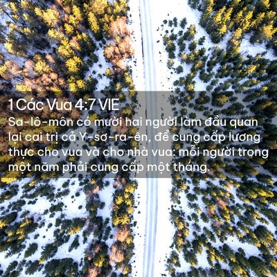 Picture 02 - 1 Các Vua 4:7 VIE - Sa-lô-môn có mười hai người làm đầu - Bible Verse Picture