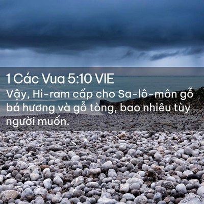 Picture 02 - 1 Các Vua 5:10 VIE - Vậy, Hi-ram cấp cho Sa-lô-môn gỗ bá - Bible Verse Picture