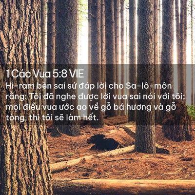 Picture 02 - 1 Các Vua 5:8 VIE - Hi-ram bèn sai sứ đáp lời cho Sa-lô-môn - Bible Verse Picture