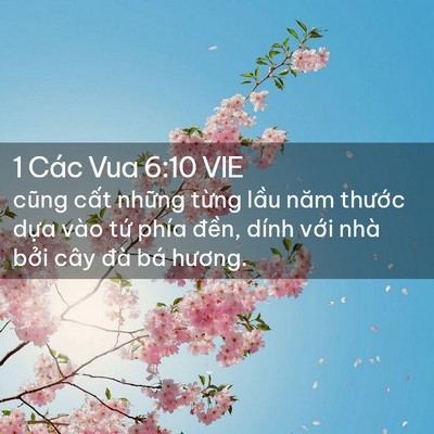 Picture 02 - 1 Các Vua 6:10 VIE - cũng cất những từng lầu năm thước - Bible Verse Picture