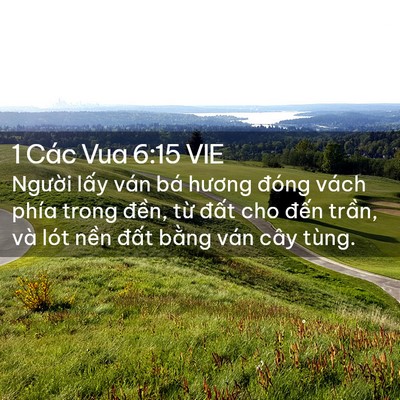 Picture 02 - 1 Các Vua 6:15 VIE - Người lấy ván bá hương đóng vách - Bible Verse Picture