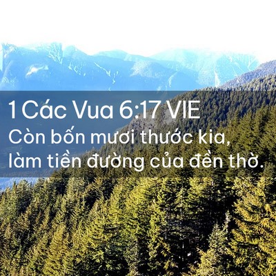 Picture 02 - 1 Các Vua 6:17 VIE - Còn bốn mươi thước kia, làm tiền - Bible Verse Picture