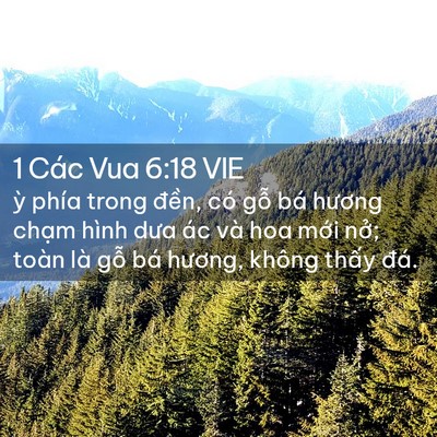 Picture 02 - 1 Các Vua 6:18 VIE - ỳ phía trong đền, có gỗ bá hương - Bible Verse Picture