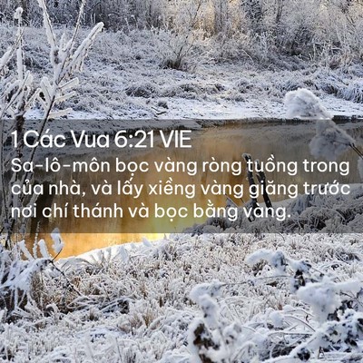Picture 02 - 1 Các Vua 6:21 VIE - Sa-lô-môn bọc vàng ròng tuồng trong của - Bible Verse Picture