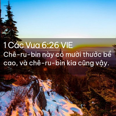 Picture 02 - 1 Các Vua 6:26 VIE - Chê-ru-bin này có mười thước bề cao, - Bible Verse Picture