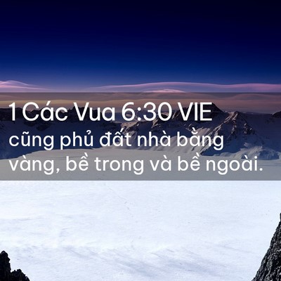 Picture 02 - 1 Các Vua 6:30 VIE - cũng phủ đất nhà bằng vàng, bề trong - Bible Verse Picture
