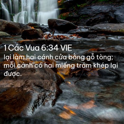 Picture 02 - 1 Các Vua 6:34 VIE - lại làm hai cánh cửa bằng gỗ tòng; - Bible Verse Picture