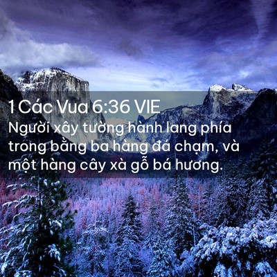 Picture 02 - 1 Các Vua 6:36 VIE - Người xây tường hành lang phía trong - Bible Verse Picture