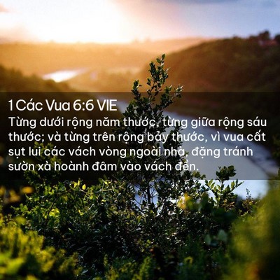 Picture 02 - 1 Các Vua 6:6 VIE - Từng dưới rộng năm thước, từng - Bible Verse Picture