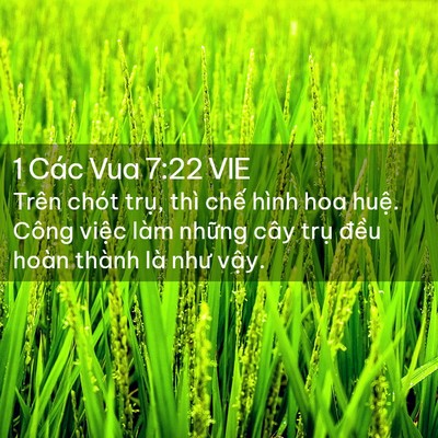 Picture 02 - 1 Các Vua 7:22 VIE - Trên chót trụ, thì chế hình hoa huệ. - Bible Verse Picture