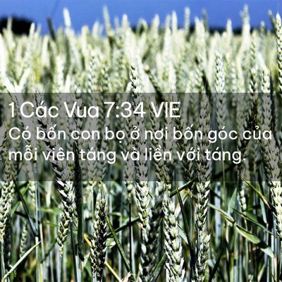Picture 02 - 1 Các Vua 7:34 VIE - Có bốn con bọ ở nơi bốn góc của - Bible Verse Picture