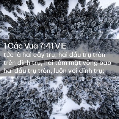 Picture 02 - 1 Các Vua 7:41 VIE - tức là hai cây trụ, hai đầu trụ tròn - Bible Verse Picture