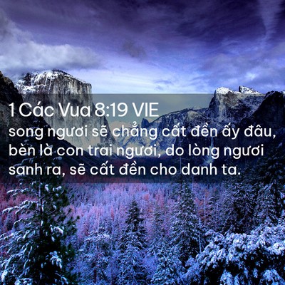 Picture 02 - 1 Các Vua 8:19 VIE - song ngươi sẽ chẳng cất đền ấy - Bible Verse Picture