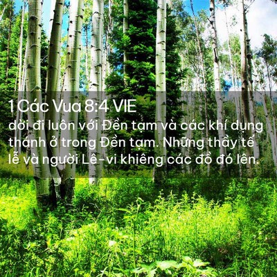 Picture 02 - 1 Các Vua 8:4 VIE - dời đi luôn với Đền tạm và các khí - Bible Verse Picture
