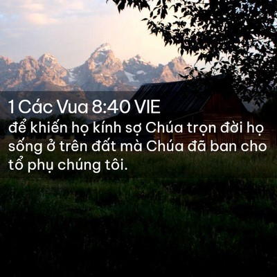 Picture 02 - 1 Các Vua 8:40 VIE - để khiến họ kính sợ Chúa trọn đời - Bible Verse Picture