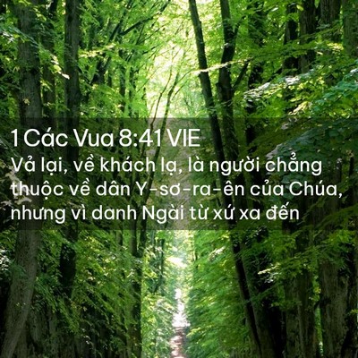 Picture 02 - 1 Các Vua 8:41 VIE - Vả lại, về khách lạ, là người - Bible Verse Picture