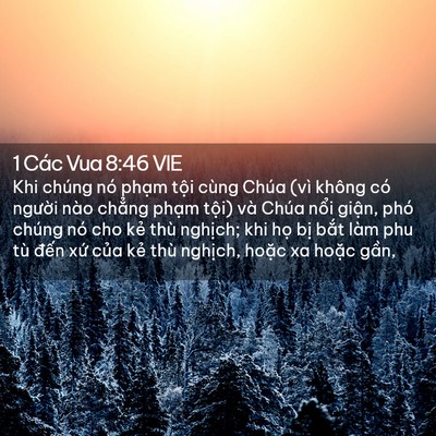 Picture 02 - 1 Các Vua 8:46 VIE - Khi chúng nó phạm tội cùng Chúa (vì - Bible Verse Picture