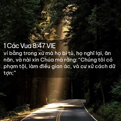 Picture 02 - 1 Các Vua 8:47 VIE - ví bằng trong xứ mà họ bị tù, họ - Bible Verse Picture