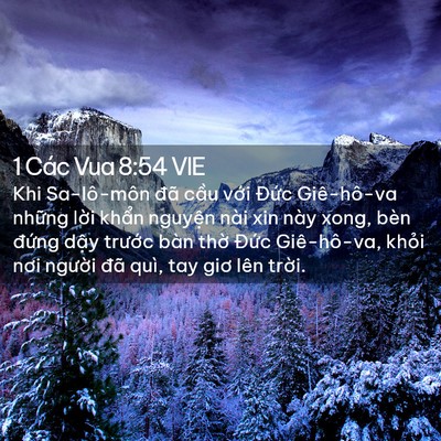 Picture 02 - 1 Các Vua 8:54 VIE - Khi Sa-lô-môn đã cầu với Đức - Bible Verse Picture