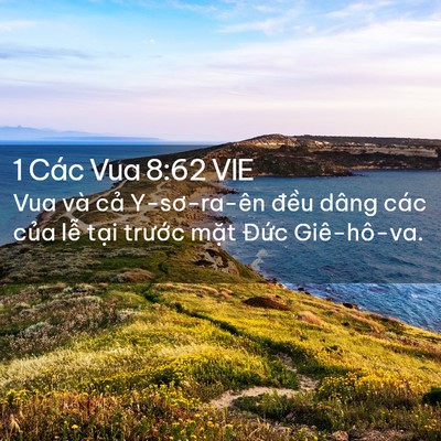 Picture 02 - 1 Các Vua 8:62 VIE - Vua và cả Y-sơ-ra-ên đều dâng các của - Bible Verse Picture