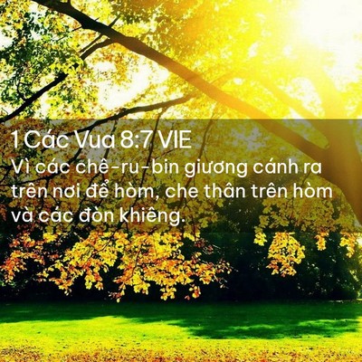 Picture 02 - 1 Các Vua 8:7 VIE - Vì các chê-ru-bin giương cánh ra trên nơi - Bible Verse Picture