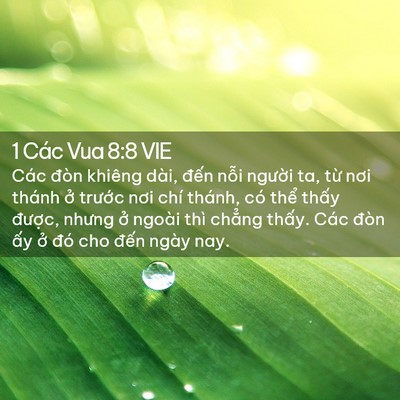 Picture 02 - 1 Các Vua 8:8 VIE - Các đòn khiêng dài, đến nỗi người - Bible Verse Picture