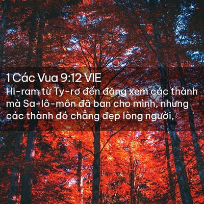 Picture 02 - 1 Các Vua 9:12 VIE - Hi-ram từ Ty-rơ đến đặng xem các thành - Bible Verse Picture