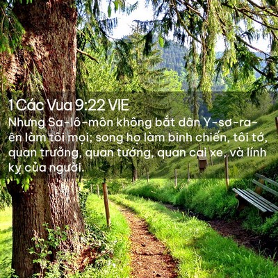 Picture 02 - 1 Các Vua 9:22 VIE - Nhưng Sa-lô-môn không bắt dân Y-sơ-ra-ên - Bible Verse Picture