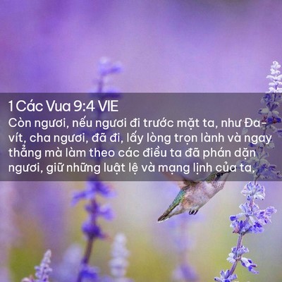 Picture 02 - 1 Các Vua 9:4 VIE - Còn ngươi, nếu ngươi đi trước mặt - Bible Verse Picture