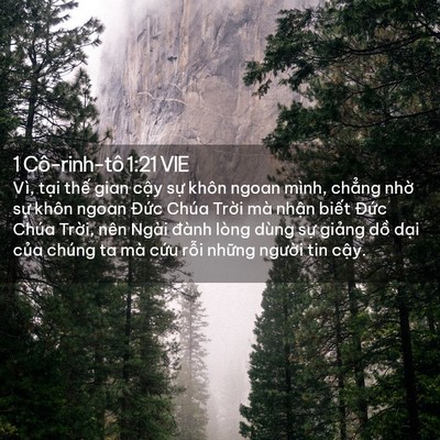 Picture 02 - 1 Cô-rinh-tô 1:21 VIE - Vì, tại thế gian cậy sự khôn ngoan - Bible Verse Picture