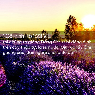 Picture 02 - 1 Cô-rinh-tô 1:23 VIE - thì chúng ta giảng Đấng Christ bị đóng - Bible Verse Picture