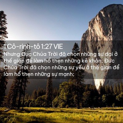 Picture 02 - 1 Cô-rinh-tô 1:27 VIE - Nhưng Đức Chúa Trời đã chọn những - Bible Verse Picture