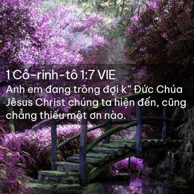 Picture 02 - 1 Cô-rinh-tô 1:7 VIE - Anh em đang trông đợi k” Đức Chúa - Bible Verse Picture