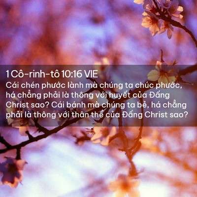 Picture 02 - 1 Cô-rinh-tô 10:16 VIE - Cái chén phước lành mà chúng ta chúc - Bible Verse Picture