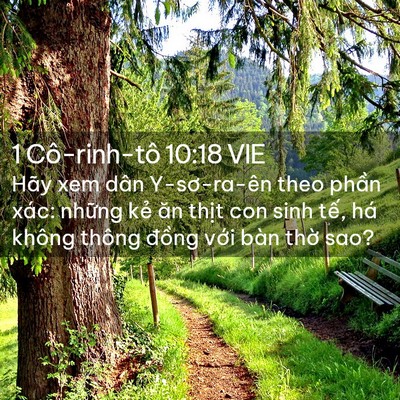 Picture 02 - 1 Cô-rinh-tô 10:18 VIE - Hãy xem dân Y-sơ-ra-ên theo phần xác: - Bible Verse Picture
